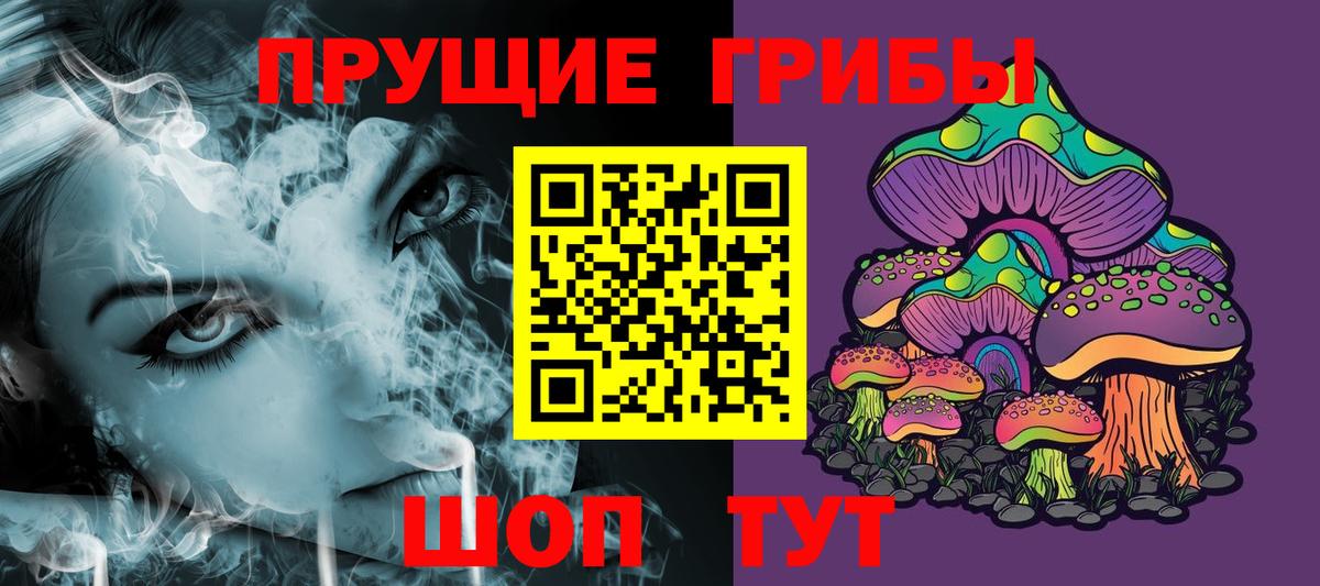 купить наркотики цена  Псилоцибиновые грибы Cubensis  Галлюциногенные грибы Magic Shrooms  Вход с VPN  Нововоронеж 